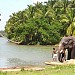 Paravur Lake