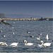 Breakwater 2 in Varna city