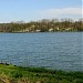 Staw Młyńszczok in Zebrzydowice city