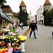 Guard towers of Viru Gate in Tallinn city