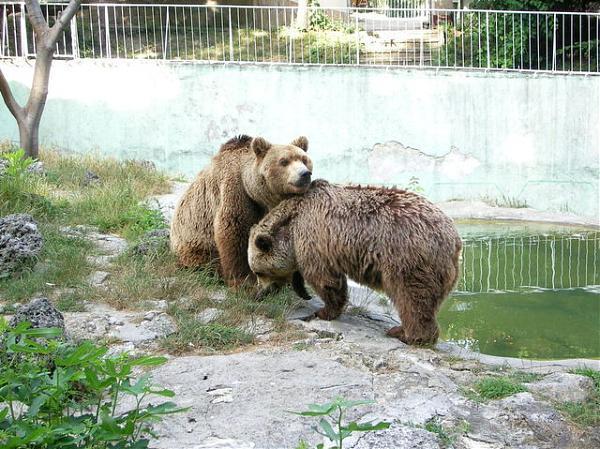 Varna Zoo - Varna