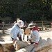 kids zoo in Tallinn city