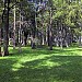 Golden Raintree Park in Coconut Creek, Florida city