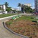 Imbuí na Salvador city