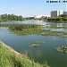 Алтуфьевский (Самотёчный) пруд в городе Москва