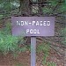 Non-paged Pool