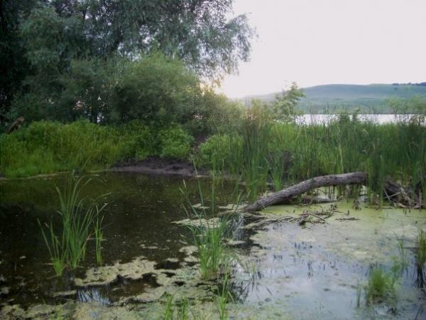 Карабашское водохранилище на карте