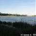 Котовский залив в городе Долгопрудный