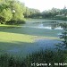 Пруд в селе Котово в городе Долгопрудный