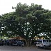 Terminal Papar - Kimanis