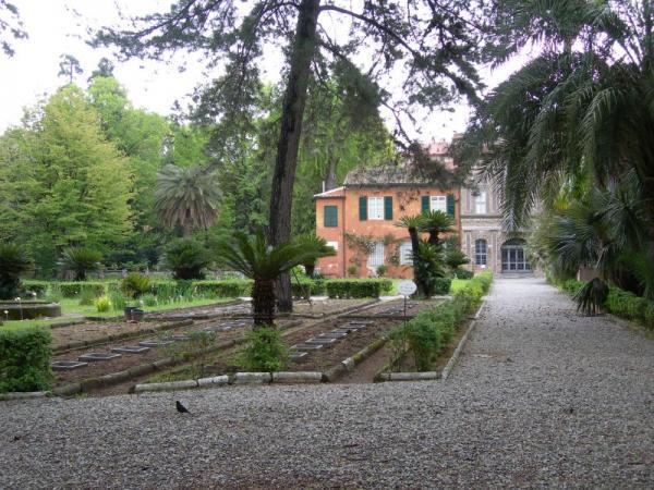 Botanischer Garten Pisa Pisa