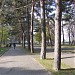 Veliki Park in Крагујевац city