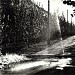 Центральная аллея  в городе Державинск