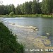 Шереметьевский пруд в городе Долгопрудный