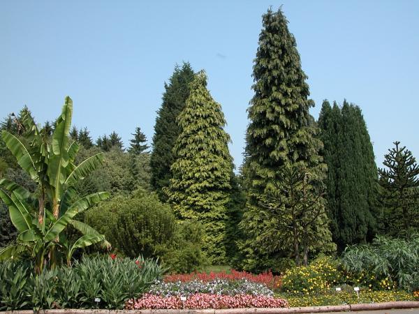 Neuer Botanischer Garten der PhilippsUniversität Marburg