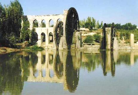 Hama