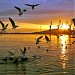 Феодосийский морской торговый порт в городе Феодосия