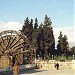 Um Alhasan Garden in Hama city