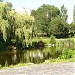 Озеро в городе Запорожье