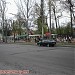 Цветочный рынок в городе Запорожье