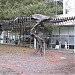 T-Rex in Mountain View, California city