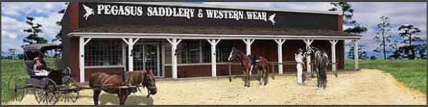 pegasus shoe store