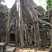 Ta Prohm