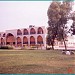 Sir Shah Nawaz Bhutto Library Larkana in Larkana city