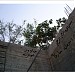 الحاووز  (ar) in Kufr Soum city
