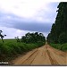 Rodovia Chico Landi na Pratânia city