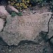 Brunnenstein aus 1558 Vallstedt in Stadt Vallstedt