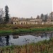 Птичник в городе Гатчина