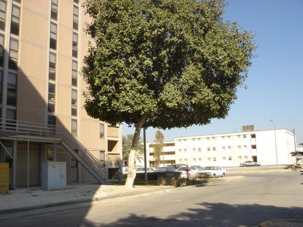 المنيرة الظهران