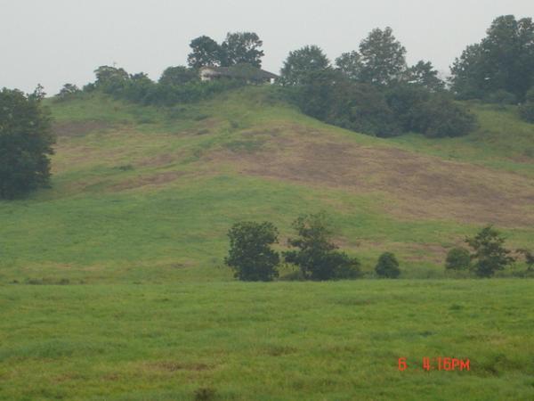 Ladang Hijau Kluang Kampung
