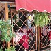 Ristorante Al Bersagliere in Padova city