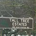 Tall Tree Estates, James Road in Port Moody city