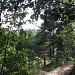 Бывший песчаный карьер в городе Домодедово