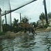 Mike The Tiger in Baton Rouge, Louisiana city