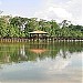 Parque Florestal  na Sinop city