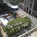 Rockefeller Plaza
