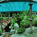 Institut Penyelidikan Perikanan, Jabatan Perikanan Malaysia dan Akuarium  in George Town city