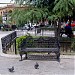 Plaza de Armas en la ciudad de Saltillo
