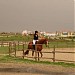 Ιππικός Όμιλος Τυχερού στην πόλη Τυχερό Έβρου
