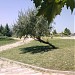 Λίμνη Τυχερού-Artificial lake of Tyxero στην πόλη Τυχερό Έβρου