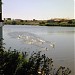 Λίμνη Τυχερού-Artificial lake of Tyxero στην πόλη Τυχερό Έβρου