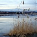 Εστιατόριο ''Η Λίμνη'' στην πόλη Τυχερό Έβρου