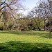 Währingerpark  (de) in Vienna city