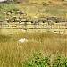 Археологический комплекс «Древний город Нимфей» (ru) in Kerch city