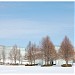 Nelson-Atkins Museum of Art (en) en la ciudad de Kansas City, Missouri