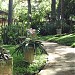 Spa Água doce na Hidrolândia city